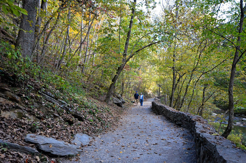 Walking path nature